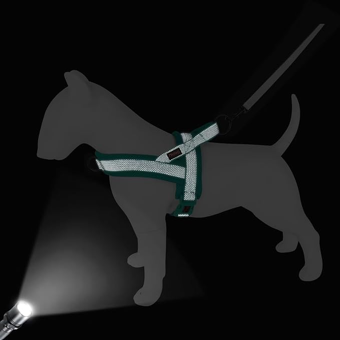 Didog No Pull Dog Harness with Breathable Mesh Padded, Full Reflective & Quick Fit Adjustable Vest Harness, Easy for Training Walking for Small & Medium and Large Dogs (Green, S:Chest 18-22")-Mewly Pet