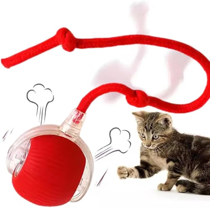 Interactive Pet Chase Toy - Rechargeable, Motion Ball, Self-Moving Kitten Toy for Indoor Interactive Playing, Smart Cat Rolling Ball-Mewly Pet