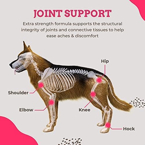 Paws & Pals Glucosamine Chondroitin MSM for dogs 240 Count, Hip and Joint Mobility Soft Chews Supplement, Pain & Inflammation Relief for all breeds - Maximum Strength, Treats Hip Dysplasia & Arthritis-Mewly Pet