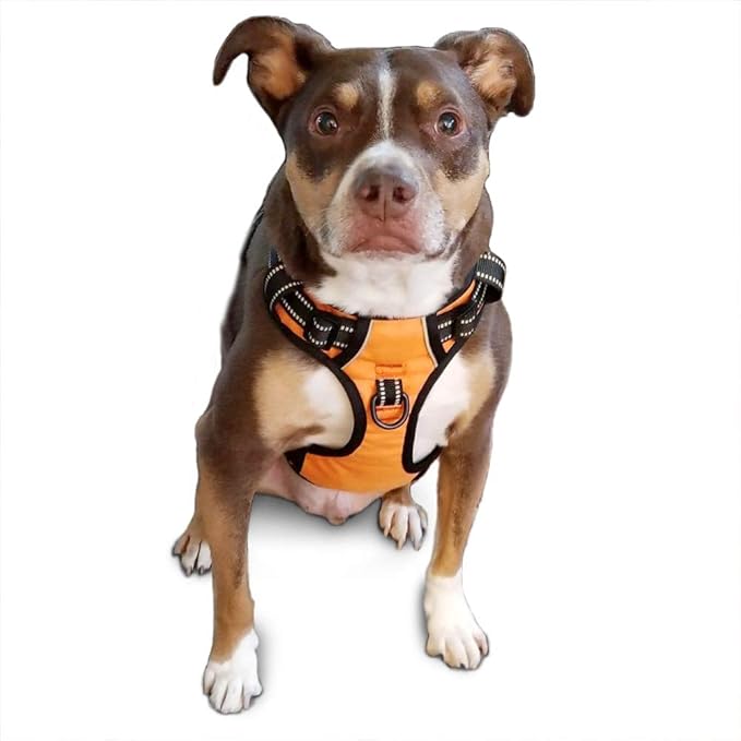 PoyPet No Pull Dog Harness, Reflective Comfortable Vest Harness with Front & Back 2 Leash Attachments and Easy Control Handle Adjustable Soft Padded Pet Vest for Small to Large Dogs (Orange,M)-Mewly Pet