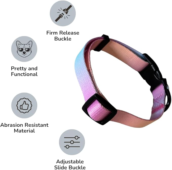 HILLBERRY Dog Collar and Leash Set Adjustable Rainbow Pink Purple Blue Puppy Pet Essentials and Supplies - Size L-Mewly Pet