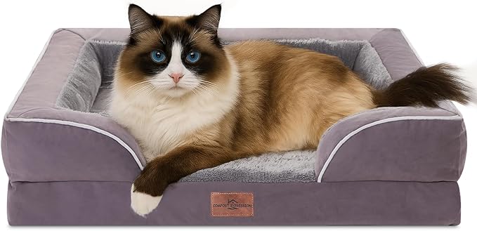 Comfort Expression Small Dog Beds Waterproof Cat Beds Orthopedic Foam Sofa Beds for Small Dogs Comfy Pet Bed with Washable Removable Cover & Non-Slip Bottom(XX-Small,Purple)-Mewly Pet