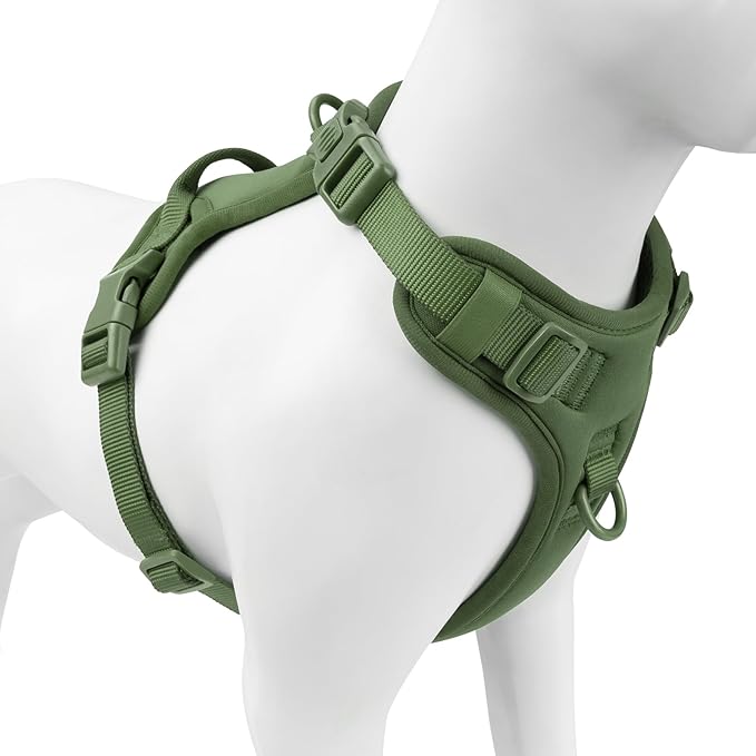 No Pull Dog Harness, Puppy Vest with Front Clip for Small Medium Large Sized Dog (Misty Green,M)-Mewly Pet