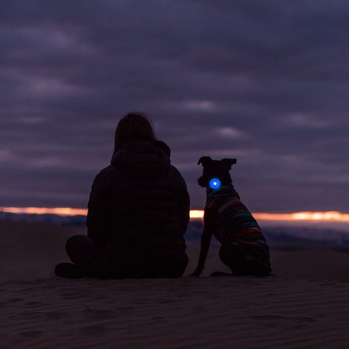 Airtag Holder for Dog Collar, Cibaabo Silicone Air Tag Case Cover Compatible with Apple Airtags for 0.8-1.2inch Cat Pet Collar Harness Loop-Mewly Pet