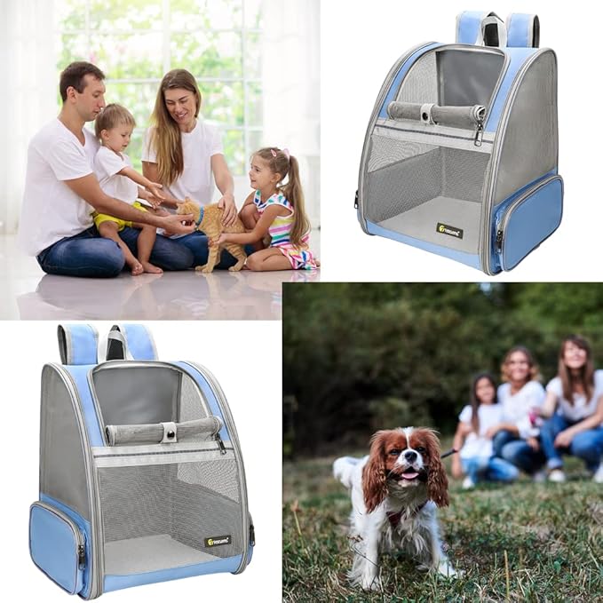 Texsens Pet Backpack Carrier for Small Cats Dogs | Ventilated Design, Safety Straps, Buckle Support, Collapsible | Designed for Travel, Hiking & Outdoor Use (Blue)-Mewly Pet