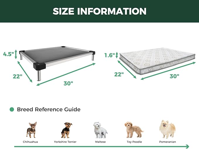 FXW TitanNest Chew-Proof Elevated Dog Bed, Raised Cot for Indoor/Outdoor/Camping Use, Durable & Washable Padded Pet Bed with Exclusive Cover for Extra-Small Dogs, 30.0" L x 22.0" W x 4.5" H, Gray-Mewly Pet