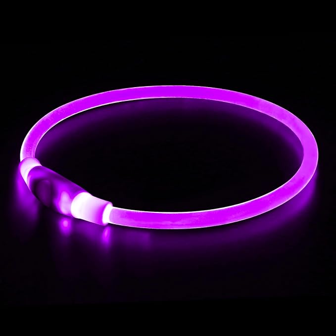 Light up Dog Collar, BSEEN USB Rechargeable Flash Dog Necklace Light, Pet Safety Collar Makes Your Beloved Dogs Be Seen at Night for Small Medium Large Dogs(Purple)-Mewly Pet