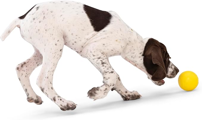 WEST PAW Boundr Ball Dog Fetch Toy – Bouncing Toys for Dogs, Fetch, Catch, Chewing, Play – Floatable, Recyclable Balls – Small Aqua Blue/Dandelion Yellow 2-Pack-Mewly Pet