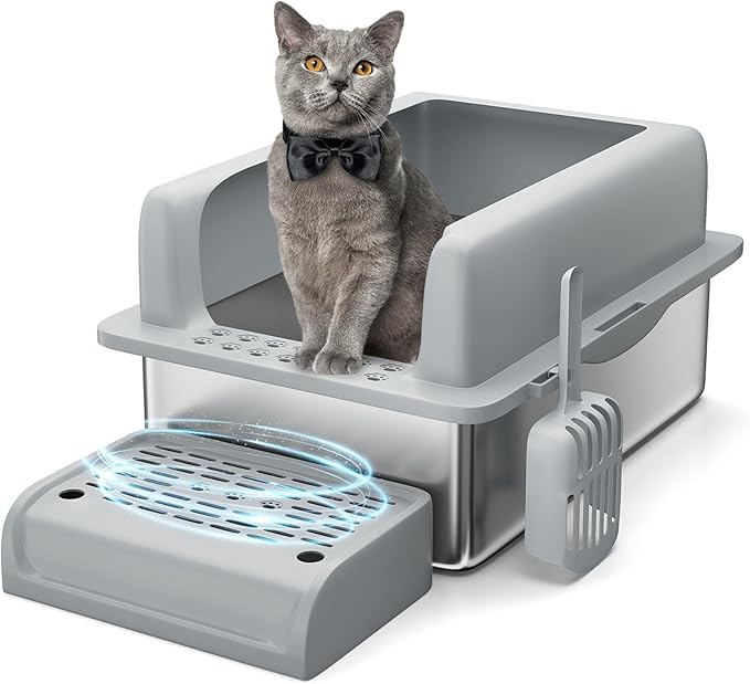 Stainless Steel Cat Litter Box 8 inch, XXL Large Cat Litter Tray with High Side, Platform Step and Scoop for Big Cats Multiple Cats, Easy Clean-Mewly Pet