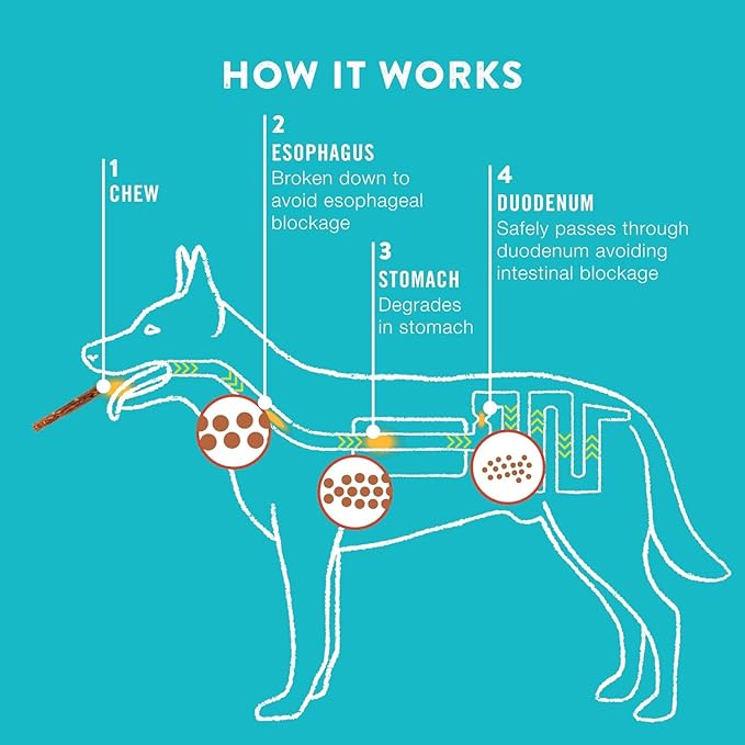 Collagen Rolls - 9" Collagen Rolls for Dogs - Long Lasting Healthy Joint Support Dog Treat - Rawhide Alternative - Skin & Coat Health - Made with Real Beef, 1 Bag, 3 Count-Mewly Pet