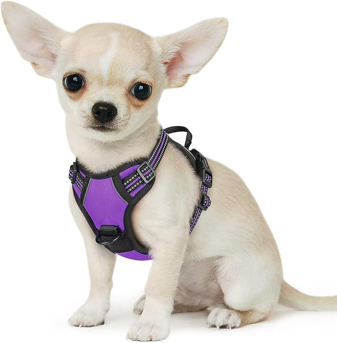Eagloo Small Dog Harness No Pull, Service Vest with Reflective Strips and Control Handle, Adjustable and Comfortable for Easy Walking, No Choke Pet Harness with 2 Metal Rings, Purple, XS-Mewly Pet
