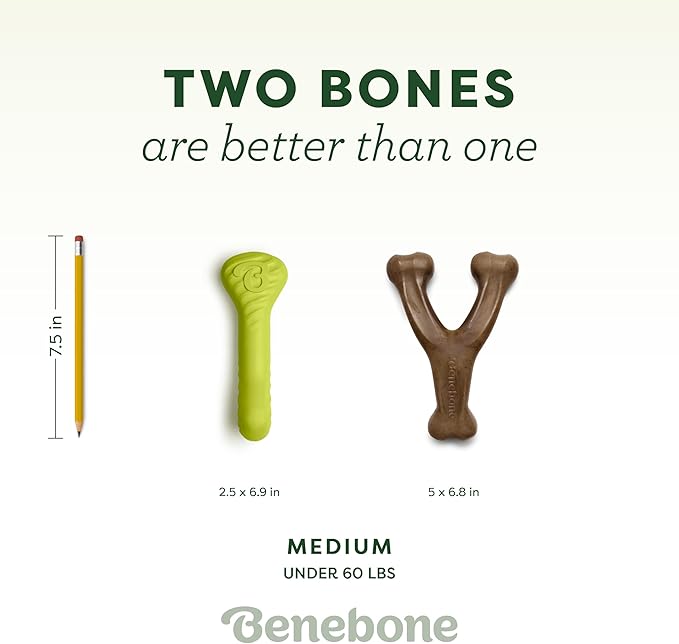 Benebone 2-Pack Bacon Wishbone/Rubber Bone Medium-Mewly Pet