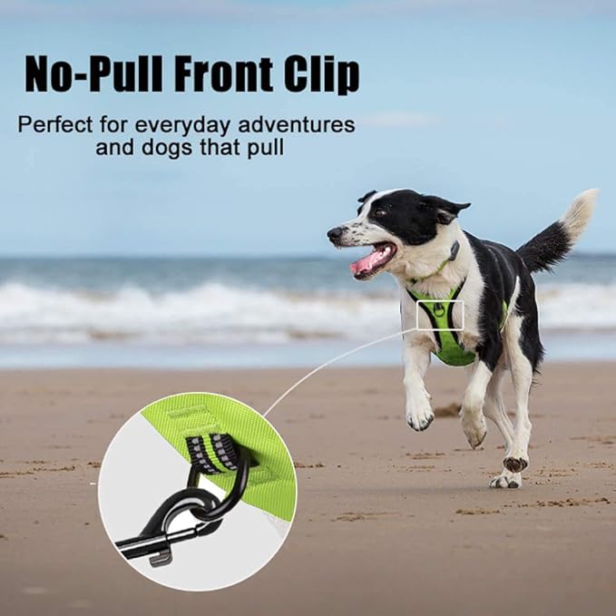 PoyPet No Pull Dog Harness, Reflective Comfortable Vest Harness with Front & Back 2 Leash Attachments and Easy Control Handle Adjustable Soft Padded Pet Vest for Small to Large Dogs (Green,L)-Mewly Pet