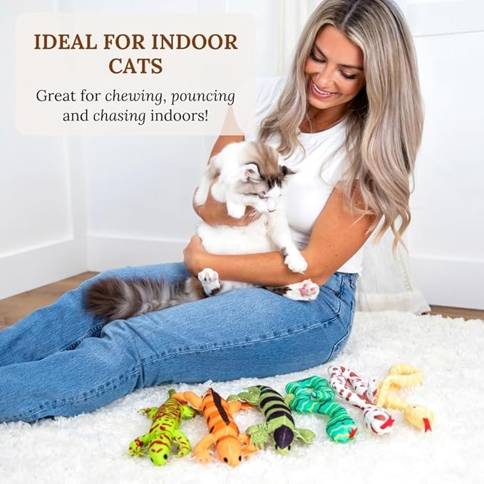 Cat Toy Snake Lizard Catnip Toys Chew Bite Resistant Toys for Indoor Cats Boredom Relief Teeth Cleaning Interactive Funny Cute Kitten Cat Lover Gifts Set of 6 Realistic Hunt Prey Activity Games-Mewly Pet