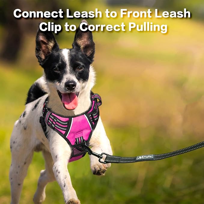 PoyPet No Pull Dog Harness, No Choke Front Clip Reflective Dog Vest with Soft Padded Vertical Handle, 3 Leash Attachments for Small Medium Large Dogs (Pink,XL)-Mewly Pet