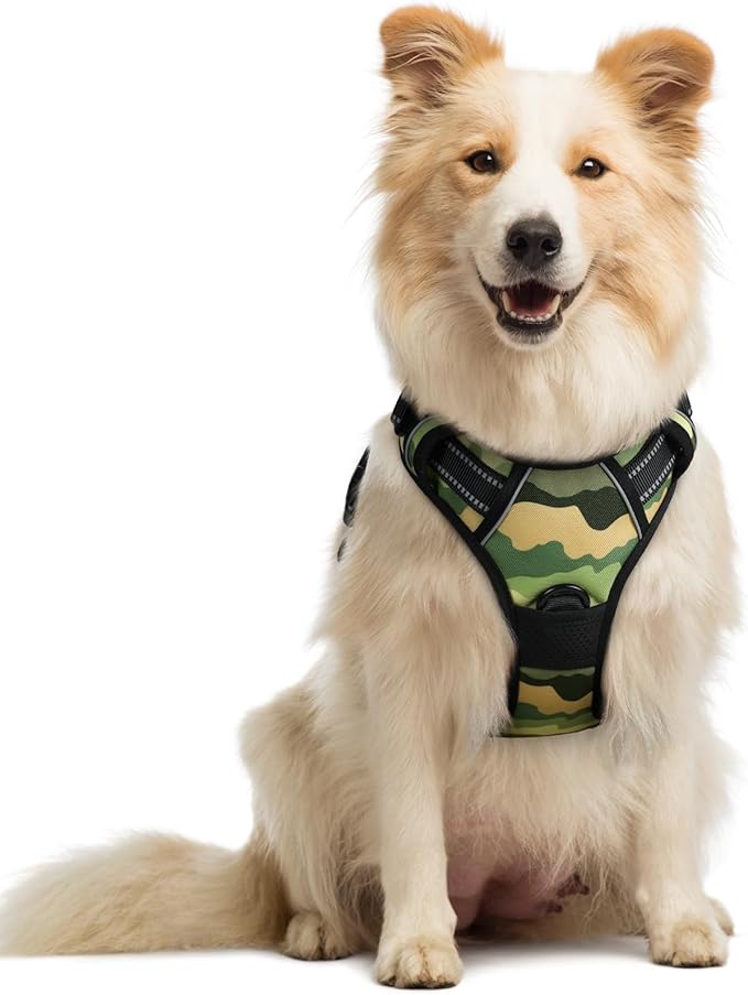 rabbitgoo Dog Harness No Pull with 2 Leash Clips, Adjustable Soft Padded, Reflective Oxford No Choke Pet Vest with Easy Control Handle for Large Dogs, Green Mountain, M-Mewly Pet