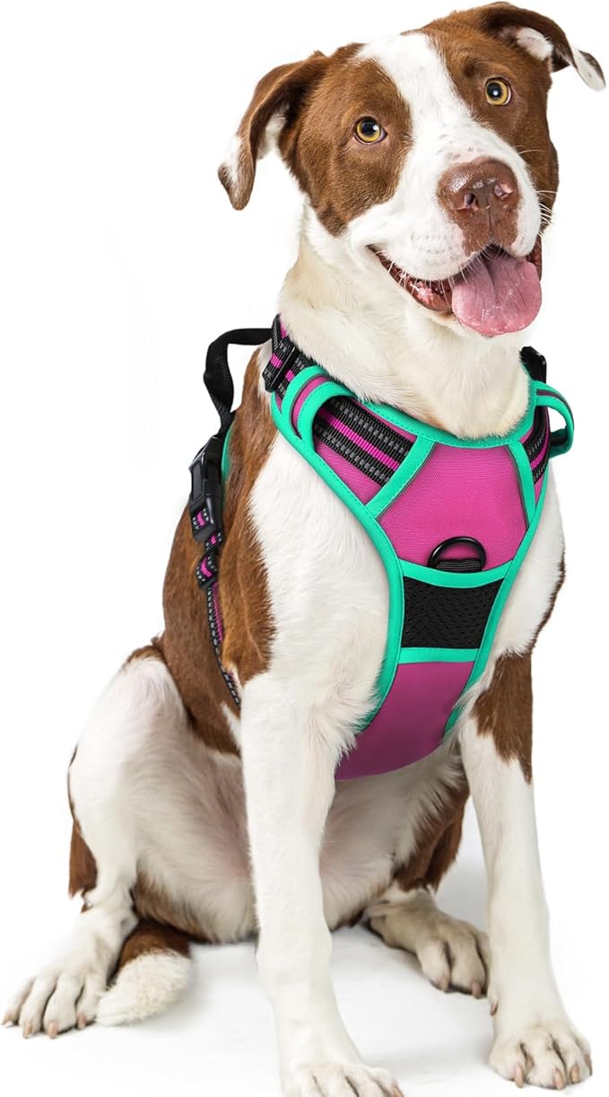 rabbitgoo Dog Harness No Pull with 2 Leash Clips, Adjustable Soft Padded, Reflective Oxford No Choke Pet Vest with Easy Control Handle for Large Dogs, Hot Pink & Turquoise, L-Mewly Pet