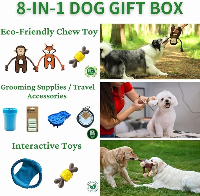 Durable Dog Chew Toys Gift Box – Eco-Friendly Teething Toys for Aggressive Chewers, Plush & Squeaky Toys, Toothbrush, Ideal Gift Basket for Medium & Large Dogs-Mewly Pet