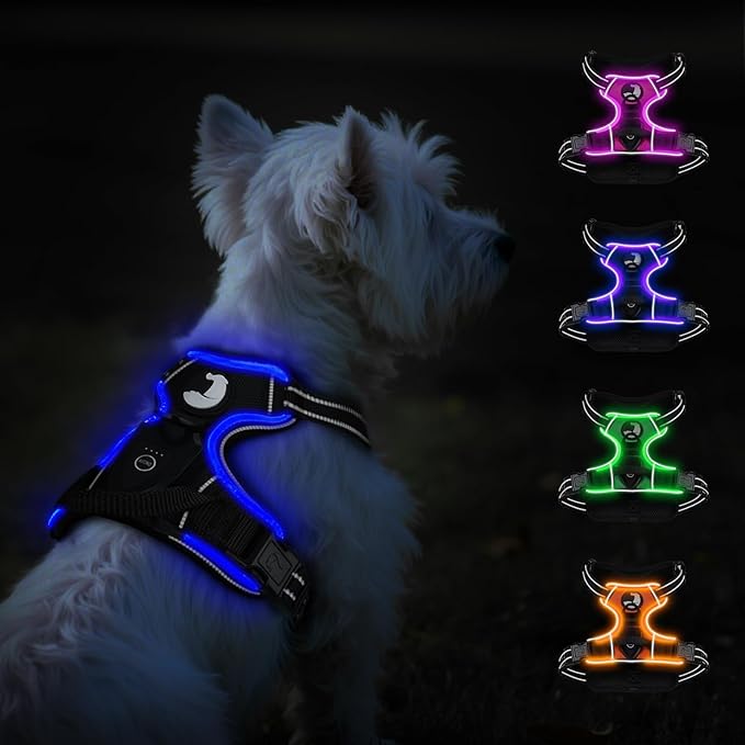 Taglory Light Up Dog Harness, Rechargeable No Pull Dog Vest with 3 Lightning Modes, Reflective Dog Harness with 2 Leash Clips & 4 Adjustable Slide Strips for Small Dogs, Black-Blue, S-Mewly Pet