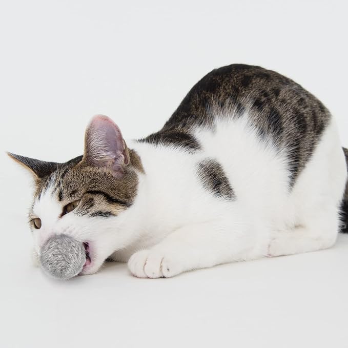 LEIFIDE 12 Pieces Real Rabbit Fur Pom Pom Kitty Cat Toy Fluffy Cat Balls Soft Fuzzy Balls for Kitty Pets Kitten Chase Quiet Play, 3 Inches in Diameter(Gray, Coffee, White)-Mewly Pet