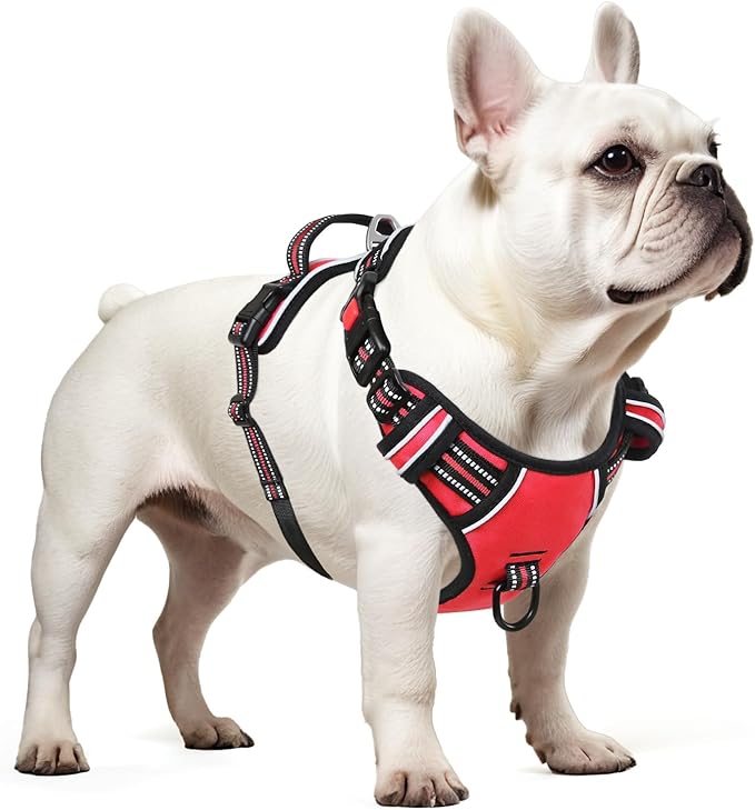 Timos Dog Harness Small Sized, No Pull with Neck Lockable Snap,No Choke Front Clip Dog Reflective Harness,Adjustable Metal Rings 3 Buckles,Easy Control Handle for Small Dogs Red S-Mewly Pet