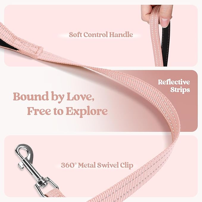 rabbitgoo Dog Harness Small Sized and Leash Set, Step in Soft Light Puppy Vest, Breathable Mesh Pet Harness, Reflective for Safe Outdoor Walking, Pink M-Mewly Pet