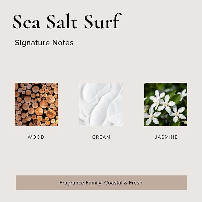 Sea Salt Surf Car Air Freshener, 4 Pack-Mewly Pet