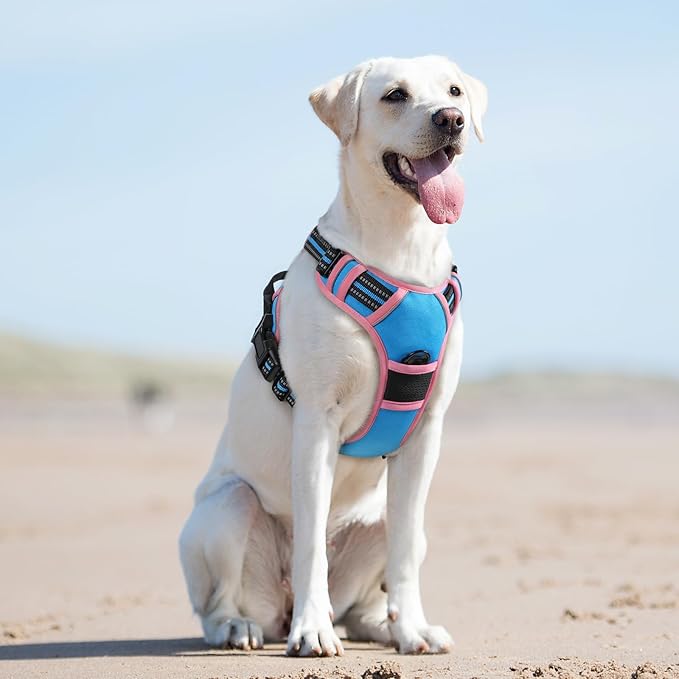 Eagloo Dog Harness for Large Dogs, No Pull Service Vest with Reflective Strips and Control Handle, Adjustable and Comfortable for Walking, No Choke Pet Harness with 2 Metal Rings, Pink & Blue, L-Mewly Pet