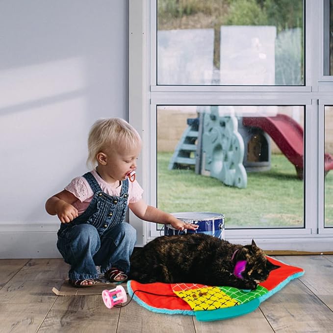 AWOOF Cat Mat, Cute Soft Catnip Mat, Cat Activity Mat Machine Washable Catnip Toys Interactive Cat Toys for Indoor Cats (Fish Shape)-Mewly Pet