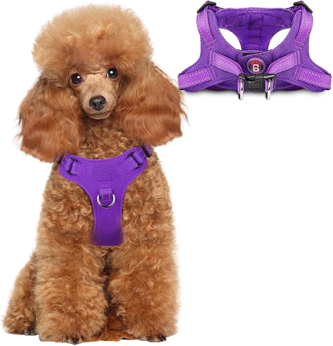 Dog Harness Step in Dog Vest Harness, Reflective Adjustable Puppy No Pull Harness Breathable Soft for Small and Medium Dogs Cats, Purple, XS-Mewly Pet
