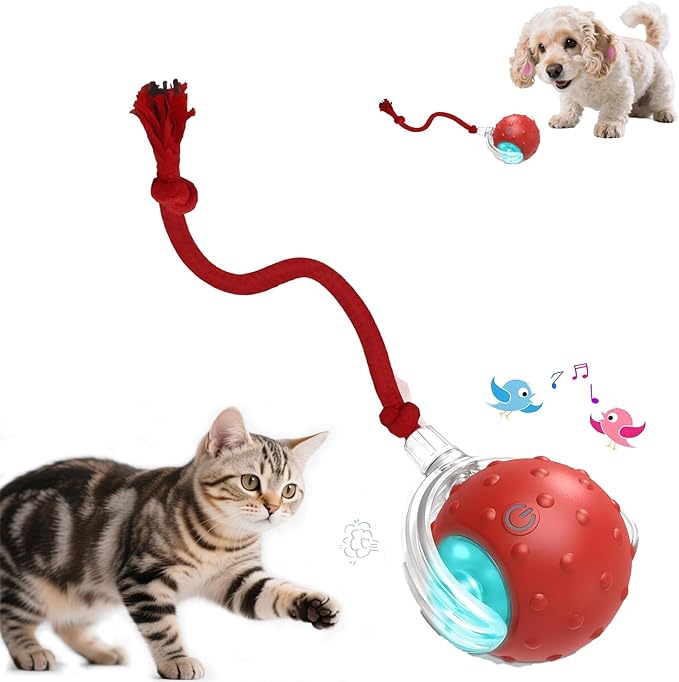 Interactive Cat Toys Ball - 2025 New Gen with Smart Obstacle Avoidance,Bird Chirps & Auto Wake-Up,Includes 1 Speedy Tail 2.0 Ropes, Ideal Kitten Toys for Bored Indoor Cats (Red)-Mewly Pet
