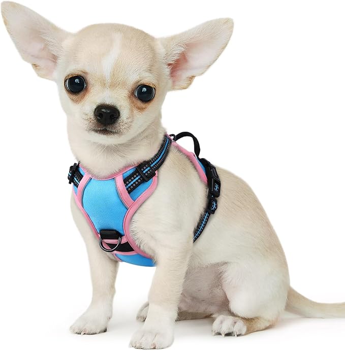 Eagloo Small Dog Harness No Pull, Service Vest with Reflective Strips and Control Handle, Adjustable and Comfortable for Walking, No Choke Pet Harness with 2 Metal Rings, Pink & Blue, XS-Mewly Pet