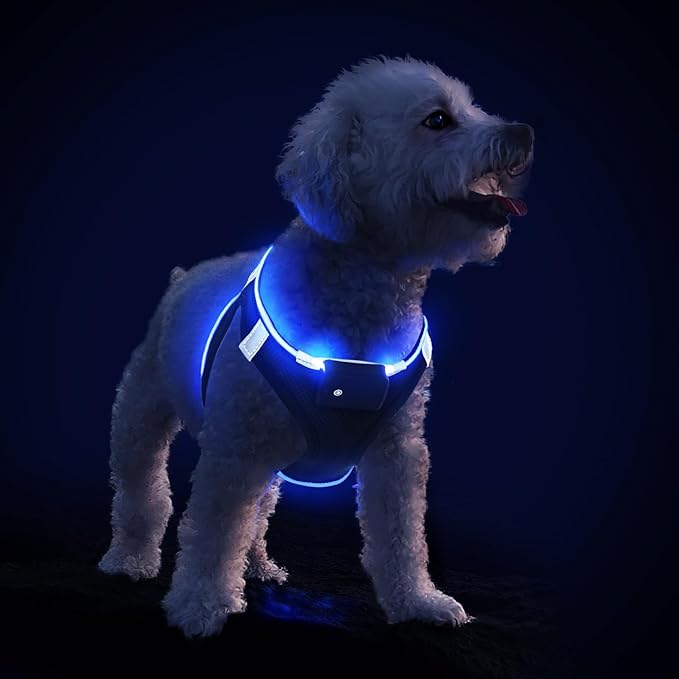PceoTllar Light Up Dog Harness, LED No Pull Reflective Dog Harness, Flashing Lighted for Night Walking - Small/Medium (Black Blue,s)-Mewly Pet