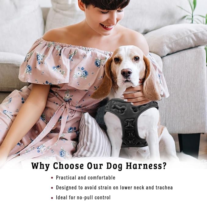 Comfort Fit Dog Harness No Pull with Leash Clips Step in Harness for Small Sized Dogs Soft Padded All Weather Dog Vest with Easy Control No Escape Adjustable Buckles for Dogs & Puppies – Black XS-Mewly Pet