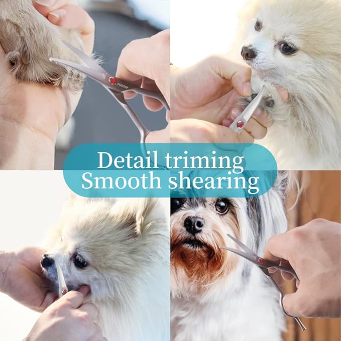 4.5" Curved Dog Scissors for Grooming Face and Paws with Safety Round Tip for Small Dogs Face Paw Ears Trimmer Professional Small Cat Grooming Shears (4.5" Curved, Gray)-Mewly Pet