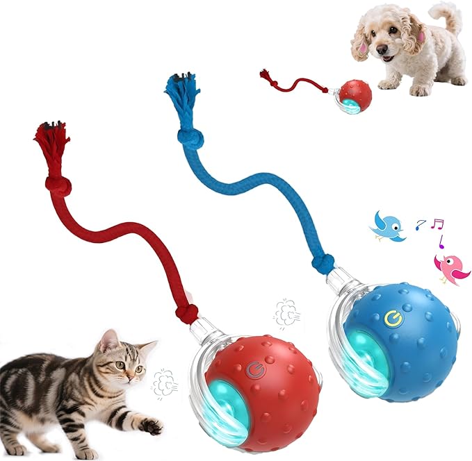 2-Pack Interactive Cat Toys Ball - 2025 New Gen with Smart Obstacle Avoidance,Bird Chirps & Auto Wake-Up,Includes 2 Speedy Tail 2.0 Ropes, Ideal Kitten Toys for Bored Indoor Cats (Red & Blue)-Mewly Pet