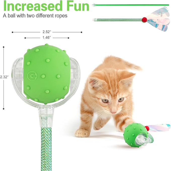 Interactive Cat Toys Ball for Indoor Cats, Automatic Agile Rolling Cat Ball with Elastic Mesh Tail, Bird Chirping & Motion Activated, 2 Tail Accessories, Kitten Toy for Bored (Green)-Mewly Pet