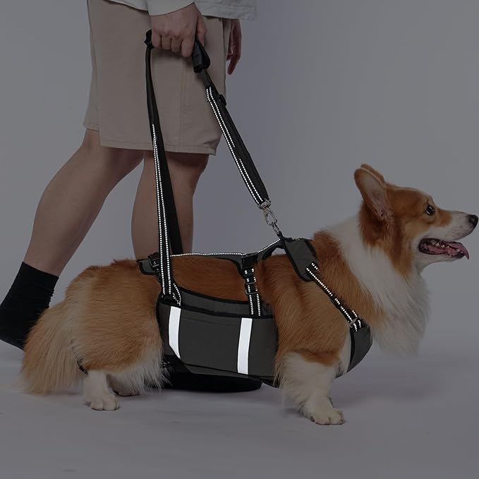 COODEO Mobility Dog Lift Harness, Emergency Carry Sling, Pet Rear Leg Support Rehabilitation Lifts Vest, Dog Carrier for Senior Dogs Joint Injuries, Arthritis (Military Green, M)-Mewly Pet