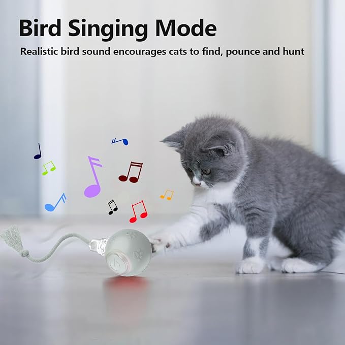 Interactive Cat Toys, Automatic Moving Cat Toy for Bored Indoor Adult Cats, Fast Rolling, Chirping & Motion-Activated Cat Toys, Fun Gift for Cats with Speedy Tail 2.0, USB Rechargeable(Gray)-Mewly Pet