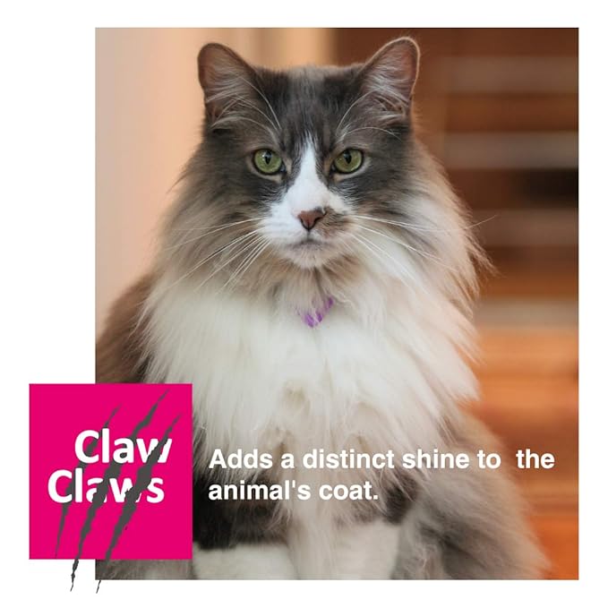 Pet Slicker Brush for Medium Dogs, Wooden Handle with Stainless Steel Soft Pins, Gently Remove Tangled, Loose Undercoat and Mats Hair, Pet Grooming Brush Tool (6.6")-Mewly Pet