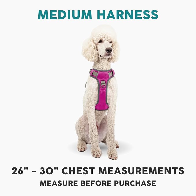 Embark Adventure Dog Harness, Reflective Trim No Pull Dog Harness Medium Sized Dogs - Military Grade Nylon, Front Clip with Gel Lined Handle.-Mewly Pet