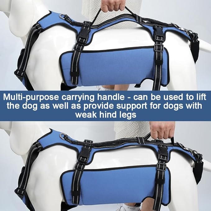 Coodeo Dog Lift Harness, Full Body Support & Recovery Sling, Pet Rehabilitation Lifts Vest for Old Dog with Arthritis Walk(Bule,L)-Mewly Pet