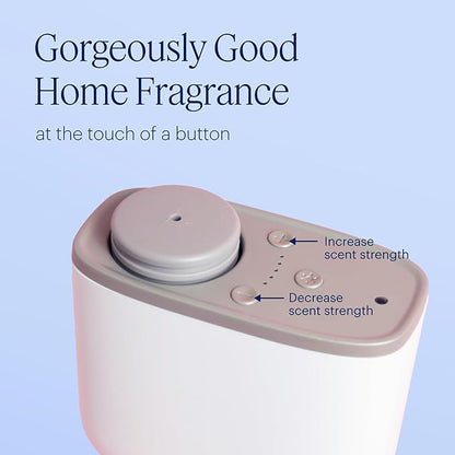 Aera Mini Home Hygiene Linen and Lemon - Essential Oil for Home – Citrus and Clean Laundry Fragrance - Notes of Lemon Peel, Copaiba and Pine - Scent Refill - Capsule Size Works with Mini Diffuser