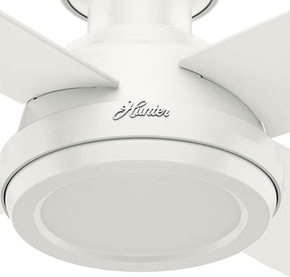 Hunter 52 inch Indoor Ceiling Fan No Light with Remote Control - White Modern Ceiling Fan without Light, Low Profile Mount, 4 Blades, For Bedroom, Living Room, or Kitchen - Dempsey 59248, Fresh White