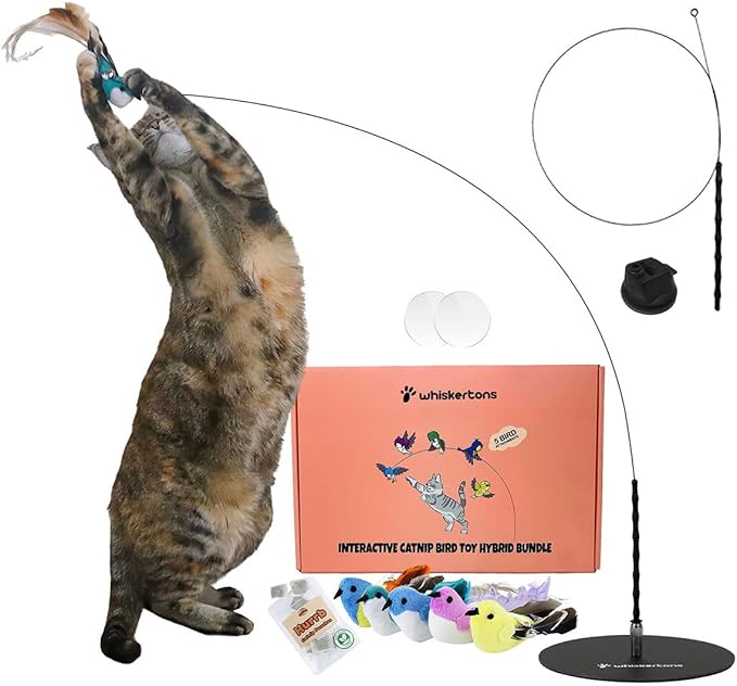 Interactive Catnip Bird Toy Set, Interactive Cat Toys for Indoor Cats, Cat Feather Toy, Suction Cup, Weighted Base, 5 Replacement Birds, Feathers & Bells, Realistic Bird Impression-Mewly Pet