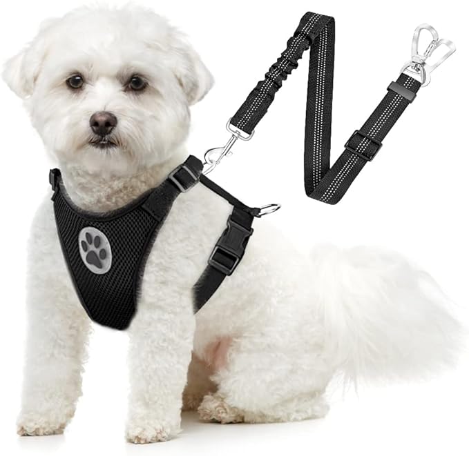 SlowTon Dog Seat Belt Harness for Car, Dog Car Harness Adjustable Mesh Breathable & Dog Seatbelt Safety Tether with Elastic Bungee for Small Medium Large Pets(Black, Double Clip, XXXS)-Mewly Pet