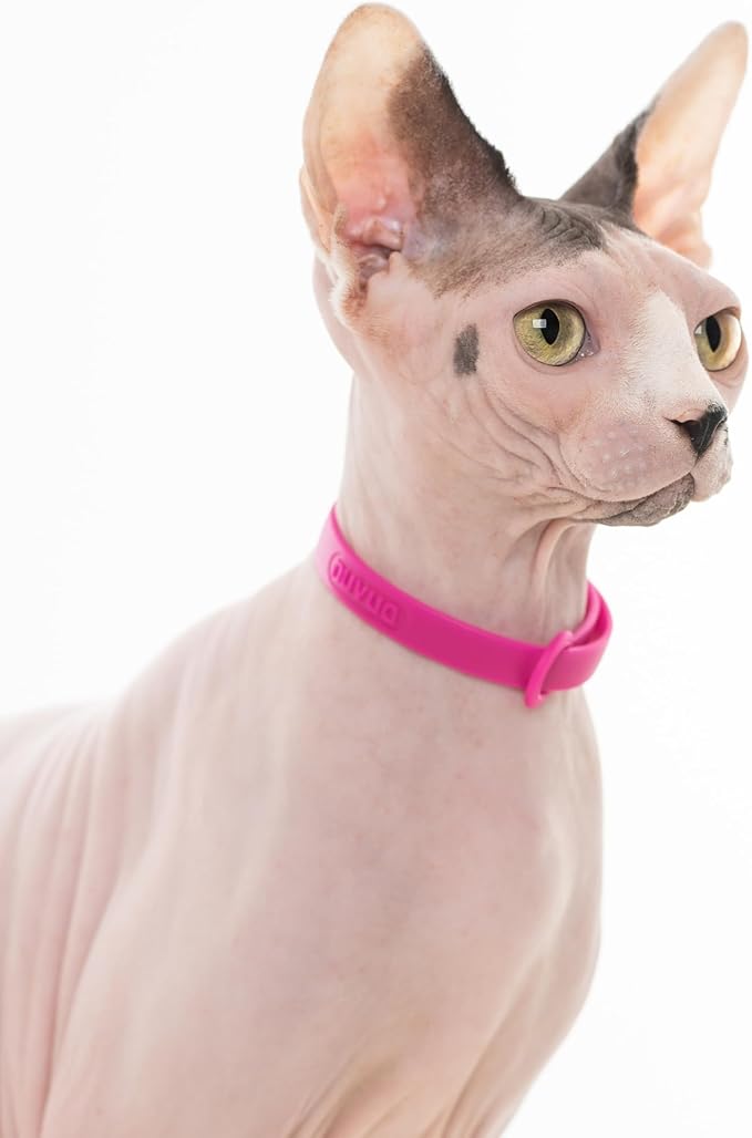 Cat Collar 2 Pack - Soft, Comfortable, and Lightweight Safety Breakaway Collar with Name Tag Ring for Outdoor Cats and Sensitive Skin Kittens by Nuvuq (6 ⅞" to 10 ¼", Pink)-Mewly Pet