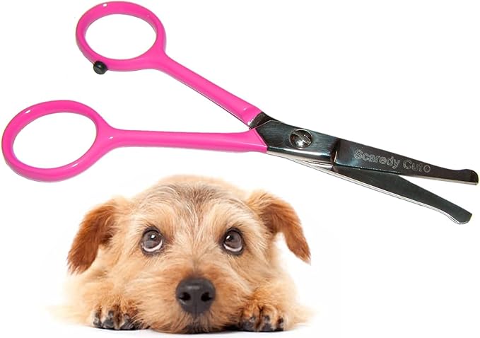 Tiny Trim 4.5" Ball-Tipped Scissor for Dog, Cat and all Pet Grooming - Ear, Nose, Face & Paw - Scaredy Cut's small Safety Scissor-Mewly Pet