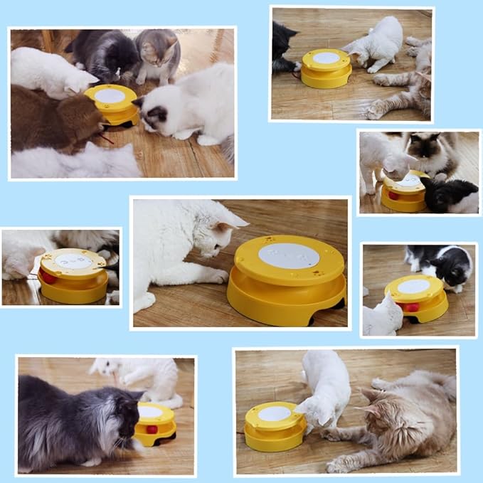 LASOCUHOO 2-in-1 Automatic Cat Toy with Track & Jumping String – Interactive Electric Toy with Rolling Balls & Bell, Battery-Powered (3 AA), Auto Shut-Off for Multi-Cat Play-Mewly Pet