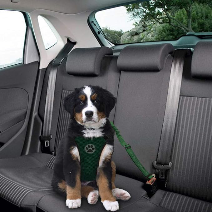 Lukovee Dog Seat Belt - Adjustable Dog Car Harness for Large, Medium & Small Dogs, Soft Padded & Breathable Mesh Dog Seatbelt with Vehicle Connector Strap (Green, Small)-Mewly Pet
